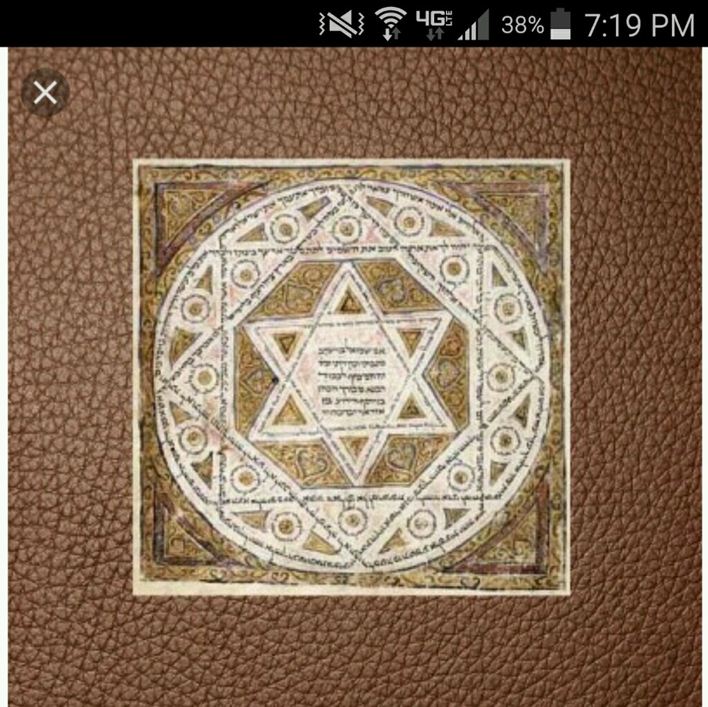 Meet your Posher, Elvis